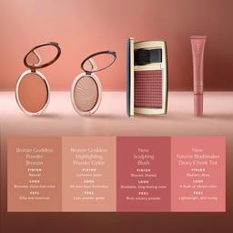 Estee Lauder™ The Sculpting Blush Powder