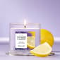 Yankee Candle&#40;R&#41; 4.5oz. Lemon Lavender Tumbler Candle - image 1