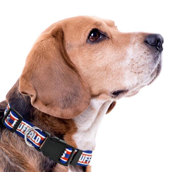 NFL Buffalo Bills Dog Collar