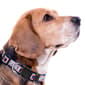 NFL Buffalo Bills Dog Collar - image 3