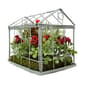 Northlight Cardinal Boxwood Artificial Christmas Greenhouse Decor - image 1