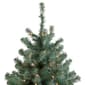 Northlight Seasonal 7.5ft. Pre-Lit Colorado Spruce Christmas Tree - image 3