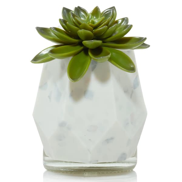 Yankee Candle(R) ScentPlug(R) Faceted Succulent Diffuser - image 