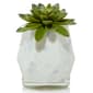 Yankee Candle(R) ScentPlug(R) Faceted Succulent Diffuser - image 1