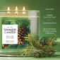 Yankee Candle® Balsam Cedar 3-Wick Jar Candle - image 2