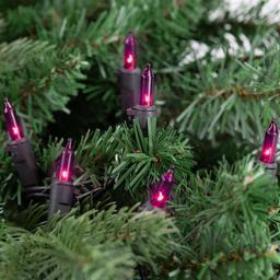 Northlight Seasonal 7ft. Purple Christmas Light Set - Black Wire