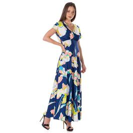 Womens 24/7 Comfort Apparel Floral Empire Waist Maxi Dress