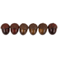 Northlight Fall Harvest 11pc. Acorns & Maple Leaves Decor Set - image 3