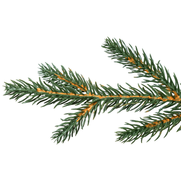 Northlight Real Touch™ 6.5ft. Pre-Lit Cumberland Christmas Tree