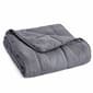 Pur Serenity Microfiber Weighted Blanket - image 1