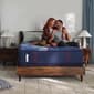 Sealy Posturepedic&#40;R&#41; Elite Brenham II Ulta Firm Mattress - image 1
