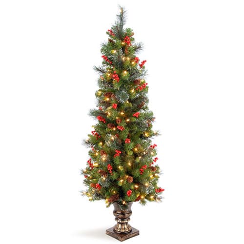 National Tree 5ft. Crestwood&#40;R&#41; Pre-Lit Entrance Spruce Tree - image 