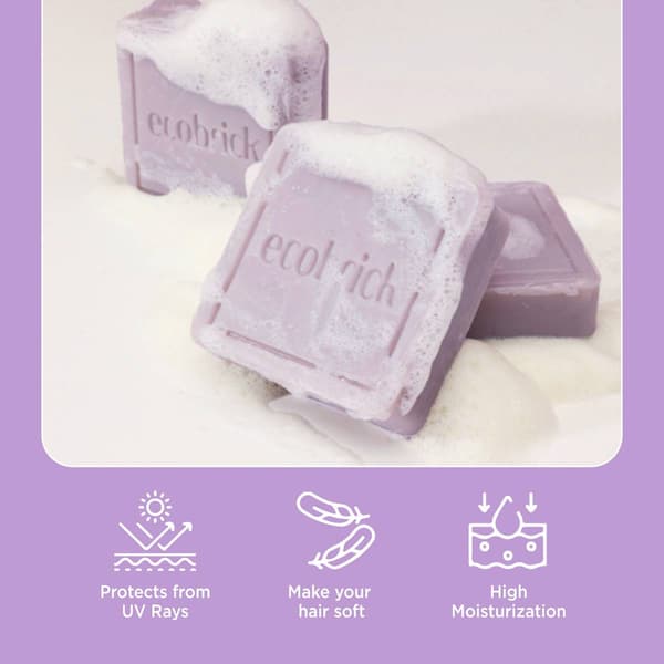 EcoBrick Mild Acidic Normal Hair Care Shampoo Bar