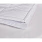 Kathy Ireland 3in. Down Fiber Top Featherbed - image 5