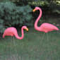Northlight Seasonal Tropical Flamingo Lawn Stakes - Set of 2 - image 2
