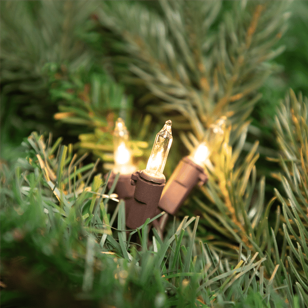 Northlight 4ft. Clear Mini Christmas Light Set