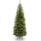 National Tree 6ft. Kingswood&#40;tm&#41; Fir Pencil Tree - image 1