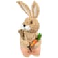 Northlight Seasonal Plush Boy Rabbit w/ Carrots Easter Figurine - image 5