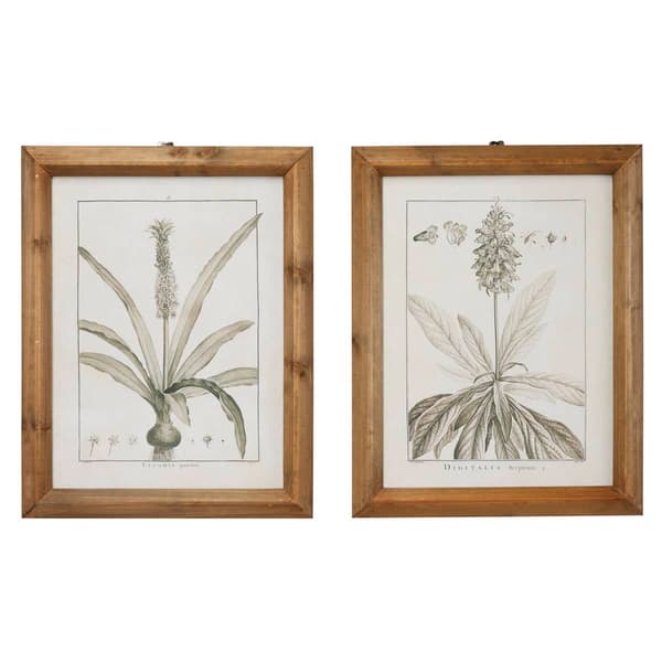 9th & Pike&#174; Large Vintage Botanical Prints - Set of 2