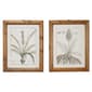 9th & Pike&#174; Large Vintage Botanical Prints - Set of 2 - image 4