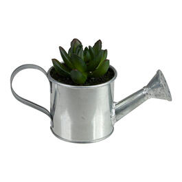 Northlight Seasonal 6 Mini Artificial Succulent in Watering Can