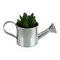Northlight Seasonal 6 Mini Artificial Succulent in Watering Can - image 1
