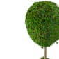 Northlight Seasonal Moss Potted Artificial Spring Topiary Tree - image 4