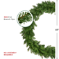 Northlight 48in. Eastern Pine Artificial Christmas Wreath - image 3