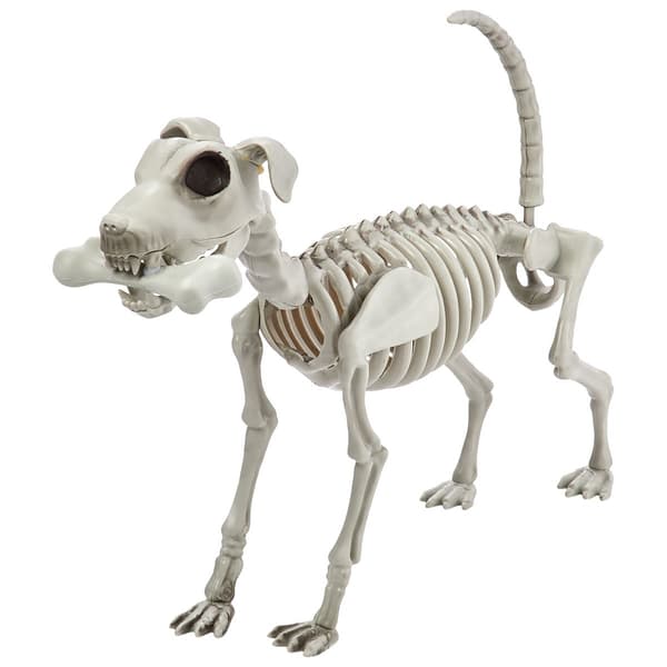 Skeleton Dog with Bone Decoration - 11.5 Inches