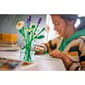 LEGO® Botanicals Daisies Building Kit - image 8