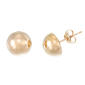 Evergold&#40;tm&#41; 14kt. Gold Nano Stud Earrings - image 1