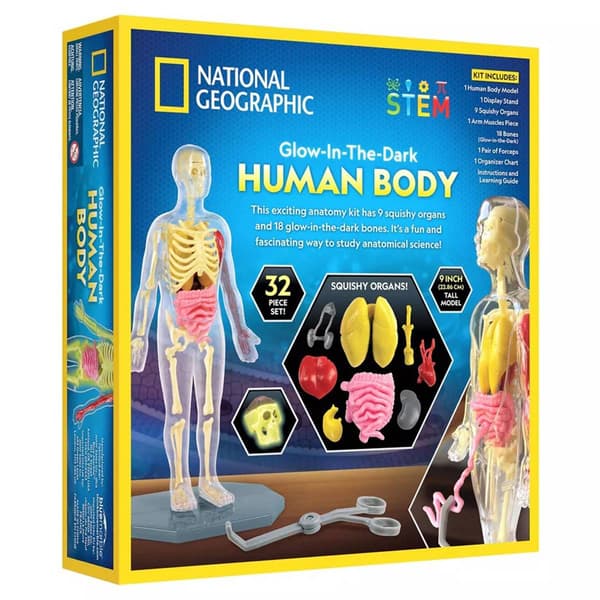 National Geographic Human Body