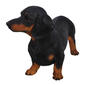 Hi-Line Gift Standing Dachshund Garden Statue - image 4