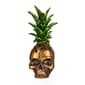 National Tree 14in. Halloween Pineapple Skull Tabletop Decor - image 1