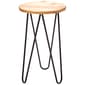 Place & Time Wood/Metal 20.5in. Plant Stand Table - image 1