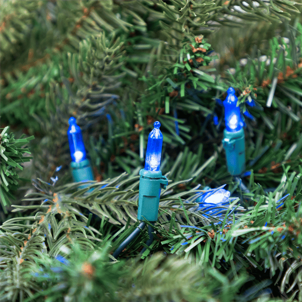 Northlight 100ct. LED Mini Christmas Lights