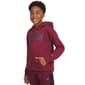 Boys &#40;8-20&#41; Champion&#174; Graphic Hoodie - Wine - image 3