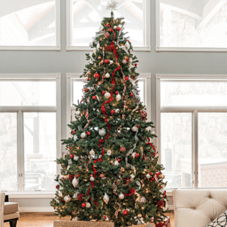 Northlight 12ft. Full Colorado Spruce Artificial Christmas Tree