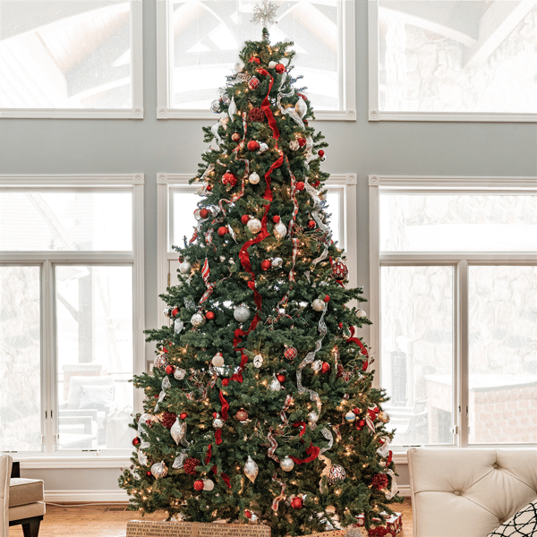 Northlight 12ft. Full Colorado Spruce Artificial Christmas Tree - image 