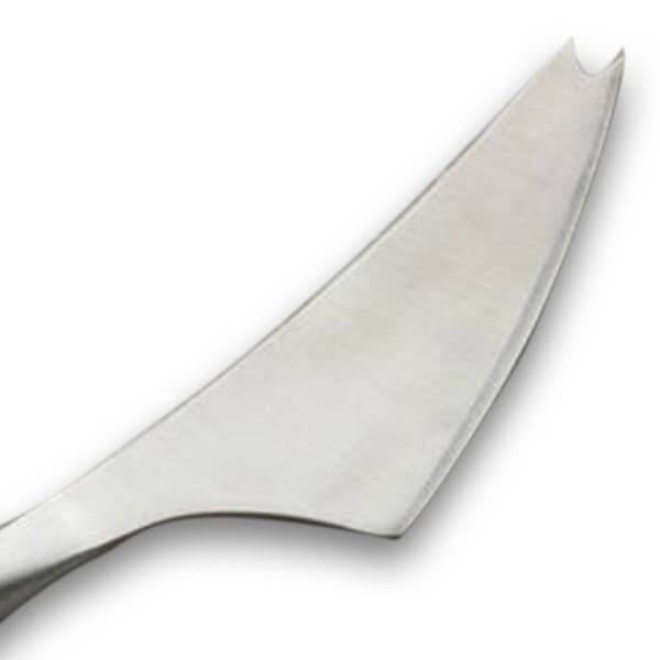 BergHOFF Aaron Probyn 7.25in. Gorge Soft Cheese Knife