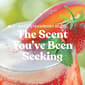 Yankee Candle® White Strawberry Bellini Medium Pillar Candle - image 2