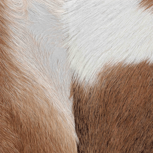 bali & pari Scotlyn Genuine Goat Leather Footstool