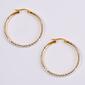 Sterling Silver Two-Tone Diamond Cut Hoop Earrings - image 1