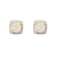 Sterling Silver Opal & Cubic Zirconia Stud Earrings - image 1