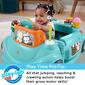 Fisher-Price&#174; 2-in-1 Sweet Ride Jumperoo Activity Center - image 5
