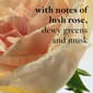 Philosophy 2oz. Pure Grace Nude Rose Eau de Parfum - image 4