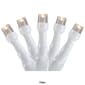 Northlight Seasonal 10ct. LED Wide Angle Christmas Lights - image 3