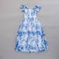 Girls (7-12) Rare Editions Floral Mesh Smocked Dress - image 1