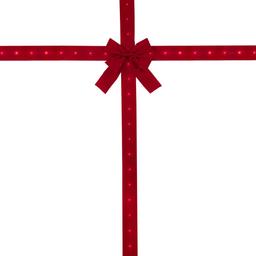 Northlight Seasonal Pre-Lit Red Velvet Christmas Door Bow