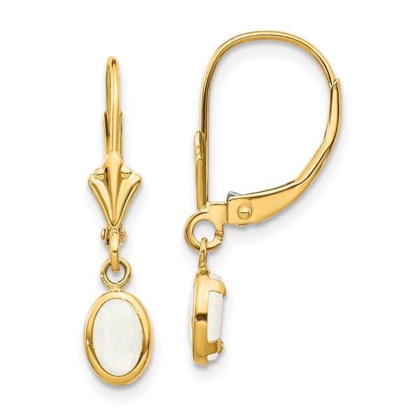 Gemstone Classics&#40;tm&#41; 14kt. Gold Opal Leverback Earrings - image 